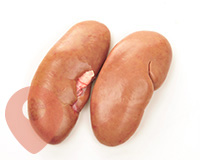 Frozen pork kidneys